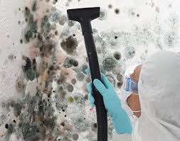 Best Comprehensive Air Testing for Mold Contaminants in Jacobus, PA